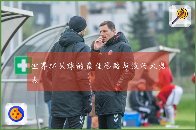 世界杯买球的最佳思路与技巧大盘点