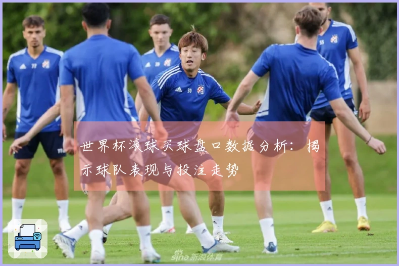 世界杯滚球买球盘口数据分析：揭示球队表现与投注走势