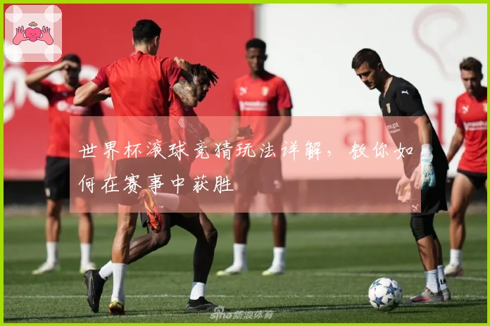 世界杯滚球竞猜玩法详解，教你如何在赛事中获胜