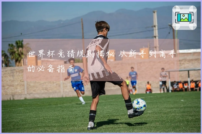 世界杯竞猜规则揭秘 从新手到高手的必备指南
