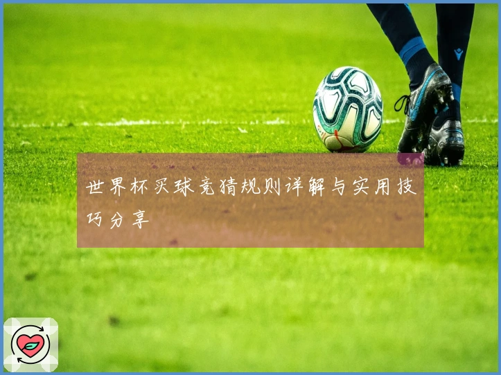世界杯买球竞猜规则详解与实用技巧分享