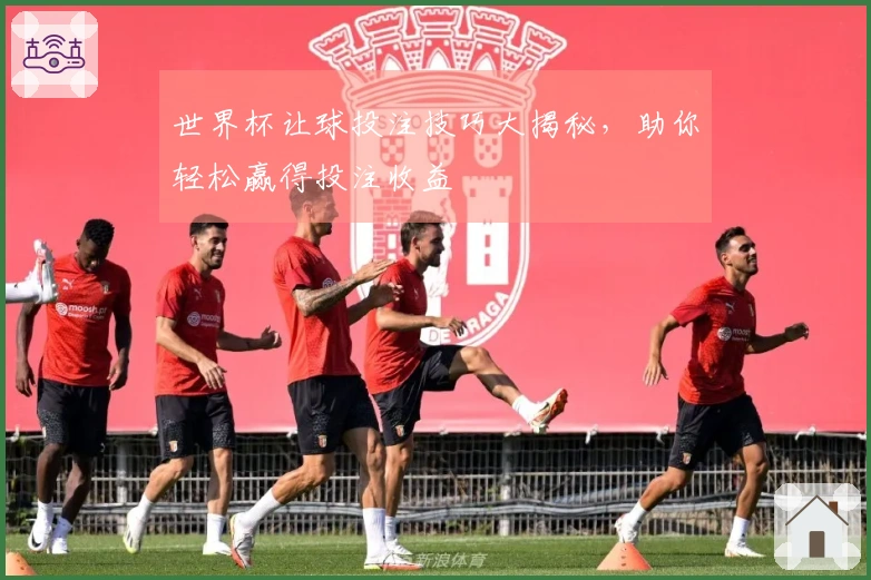 世界杯让球投注技巧大揭秘，助你轻松赢得投注收益