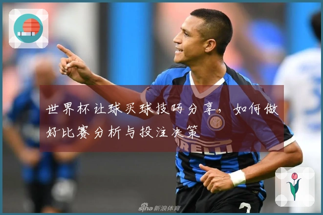 世界杯让球买球技巧分享，如何做好比赛分析与投注决策