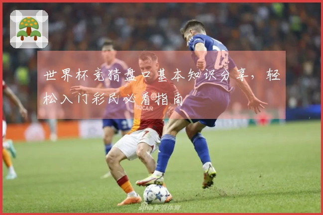 世界杯竞猜盘口基本知识分享，轻松入门彩民必看指南