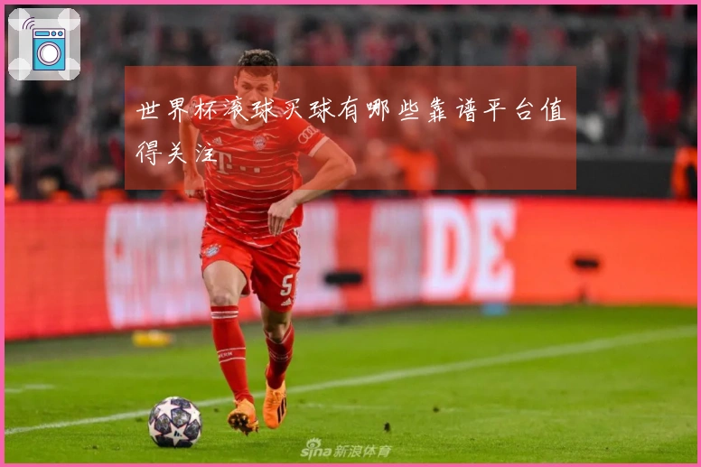 世界杯滚球买球有哪些靠谱平台值得关注