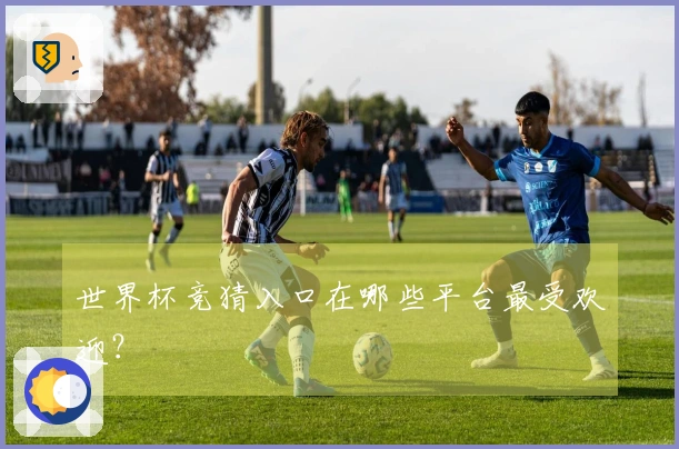 世界杯竞猜入口在哪些平台最受欢迎？