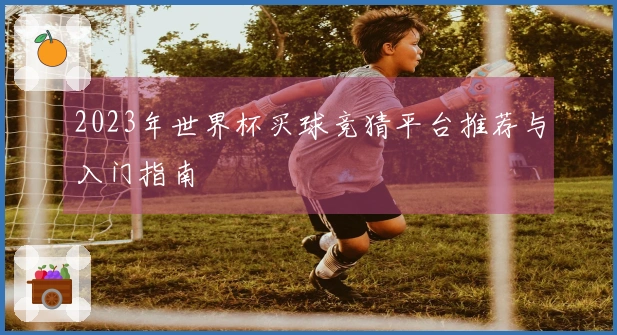 2023年世界杯买球竞猜平台推荐与入门指南