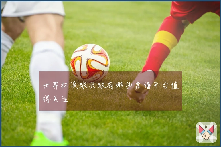 世界杯滚球买球有哪些靠谱平台值得关注