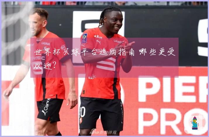 世界杯买球平台选购指南 哪些更受欢迎？
