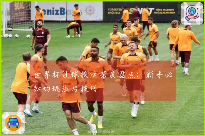 世界杯让球投注深度盘点：新手必知的玩法与技巧