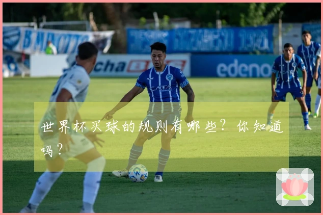 世界杯买球的规则有哪些？你知道吗？