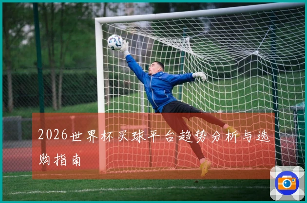 2026世界杯买球平台趋势分析与选购指南