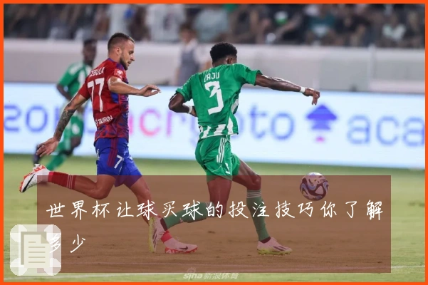 世界杯让球买球的投注技巧你了解多少
