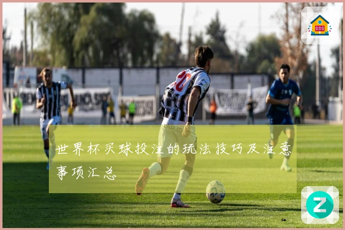 世界杯买球投注的玩法技巧及注意事项汇总