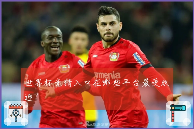 世界杯竞猜入口在哪些平台最受欢迎？