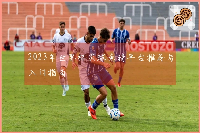 2023年世界杯买球竞猜平台推荐与入门指南