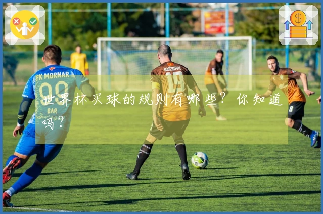 世界杯买球的规则有哪些？你知道吗？