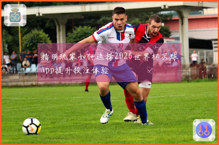 精明玩家如何选择2026世界杯买球App提升投注体验