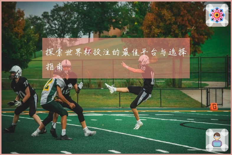 探索世界杯投注的最佳平台与选择指南