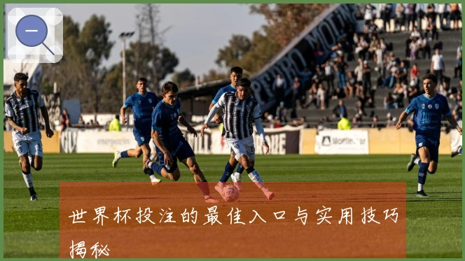 世界杯投注的最佳入口与实用技巧揭秘