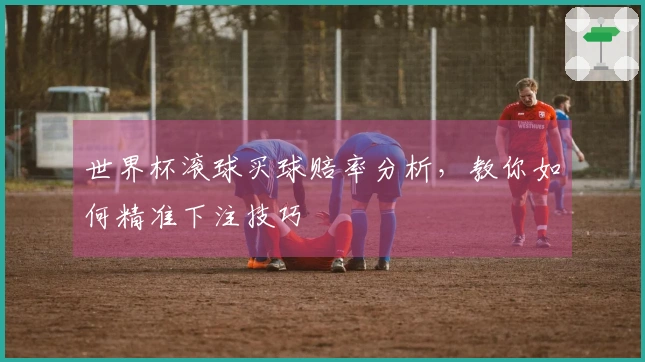世界杯滚球买球赔率分析，教你如何精准下注技巧