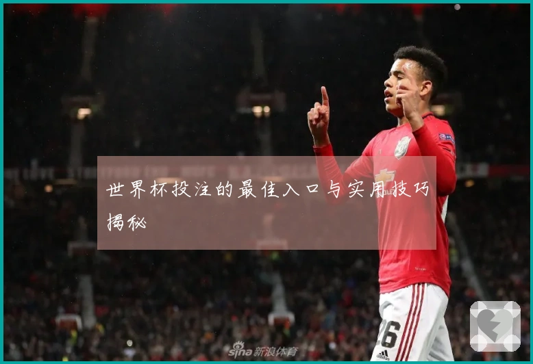 世界杯投注的最佳入口与实用技巧揭秘
