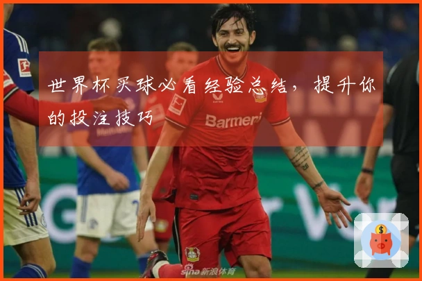 世界杯买球必看经验总结，提升你的投注技巧